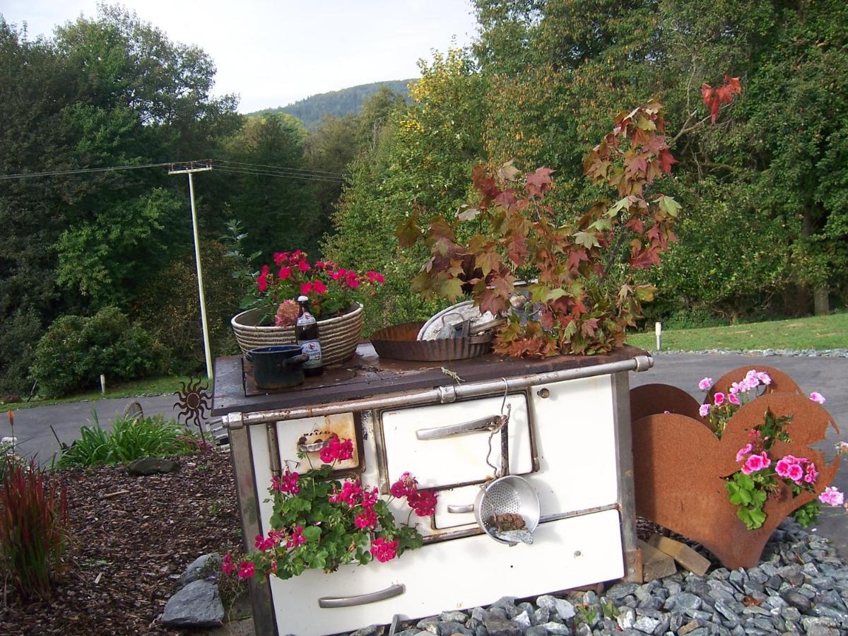 Ferienwohnung Ferienoase Im Zottbachtal Pleystein Exterior foto